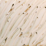 Émail à effets grès & porcelaine Amaco - PCF-74 River Birch