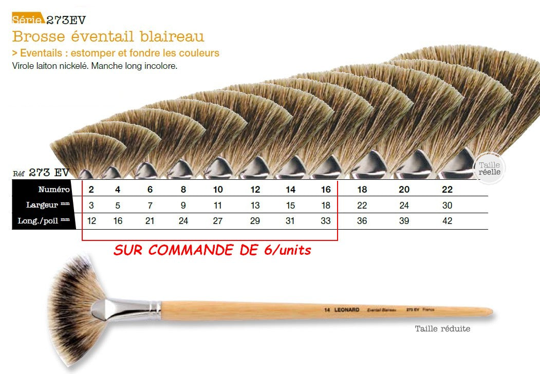 PINC 273EV Brosse eventail blaireau