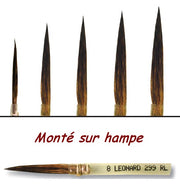 PINCEAU 299RL Rond pointu Très long-Petit gris pur