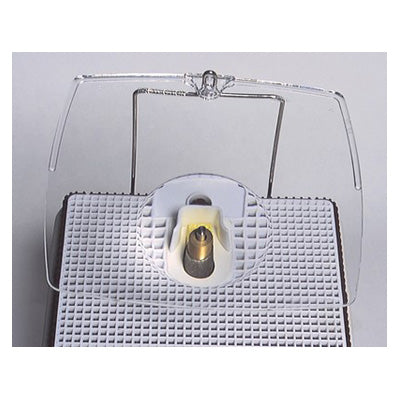 PLAQUE PROTECTION LOUPE Kristall