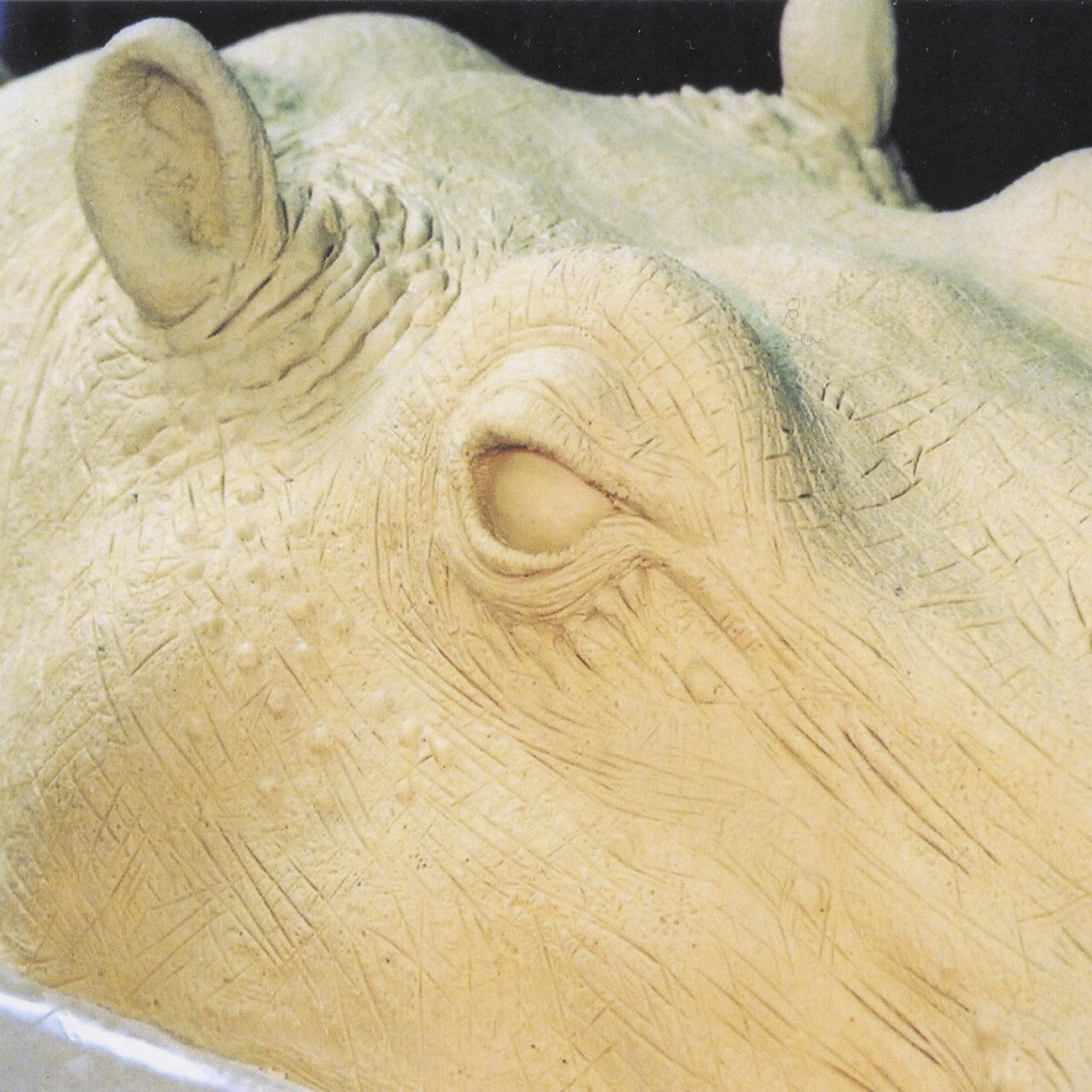 Plastiline Ivoire dureté 60/Dure