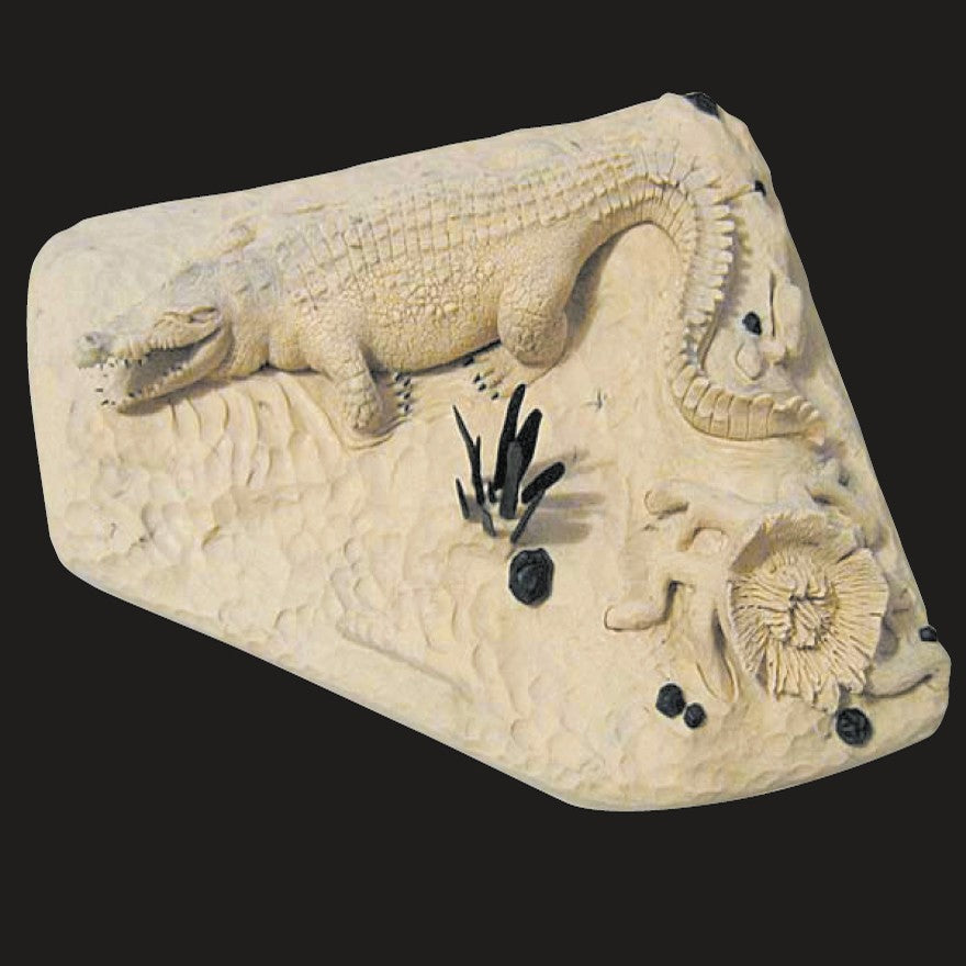 Plastiline en plaque Ivoire/Souple