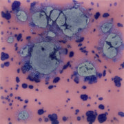 Émail brilliant à effets Mayco Jungle Gems® - S2703 Berryberrypie