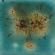 S2724 LOTUS BLOSSOM