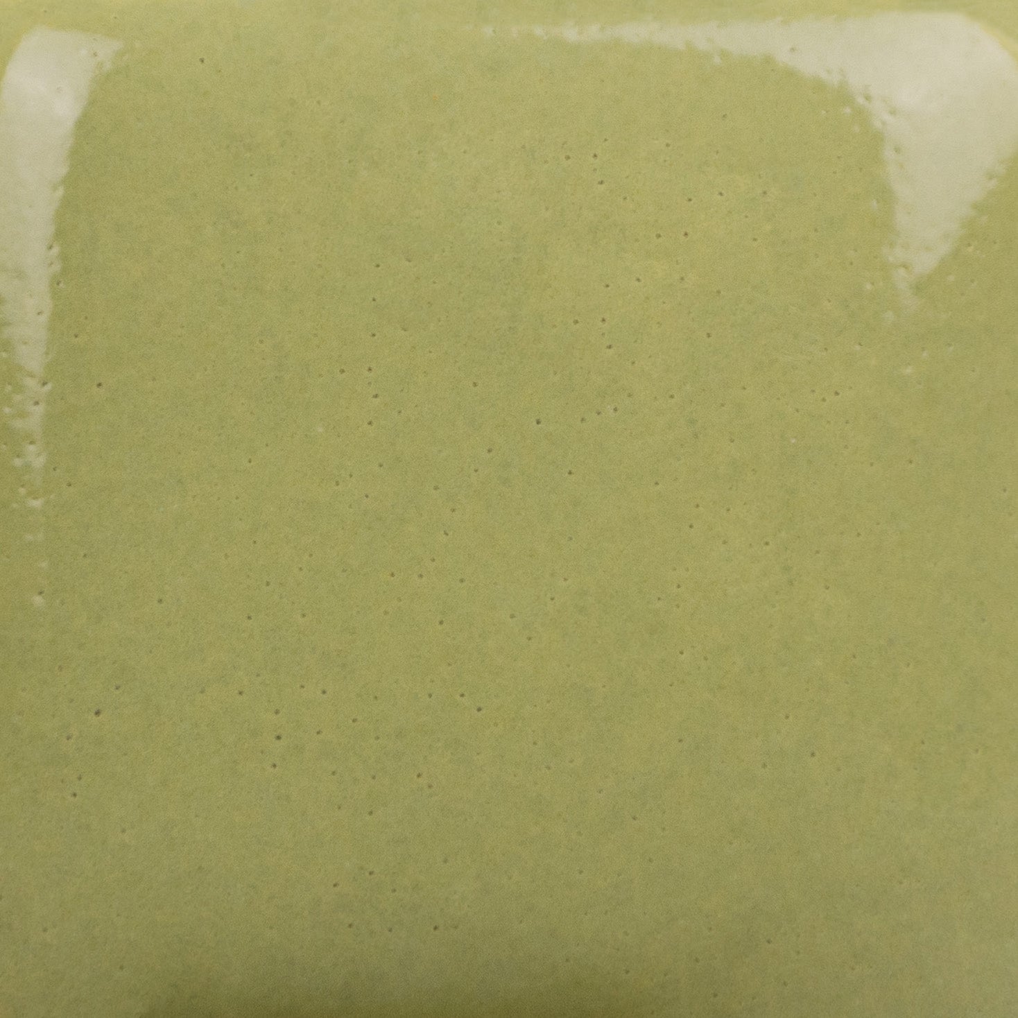 Émail brilliant Mayco Stroke&Coat® - SC079 It's Sage