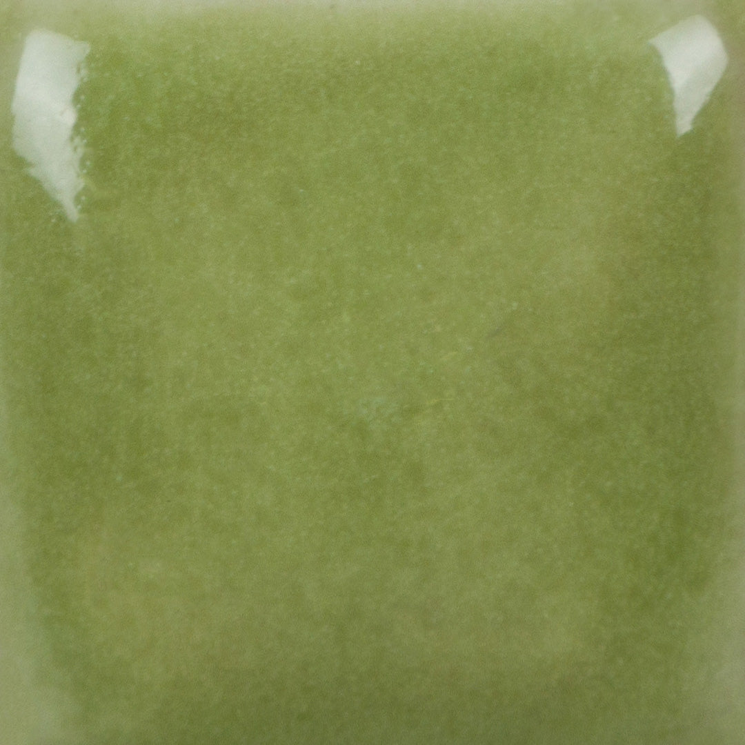 Émail brilliant Mayco Stroke&Coat® - SC052 TOAD-ILY GREEN 990°-1250°C