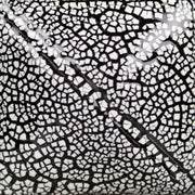 SG202 EMAIL TEXTURE BLANC