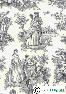 TOILE DE JOUY NOIR DIM.50X70***