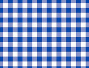 VICHY BLEU Dim50x70cm