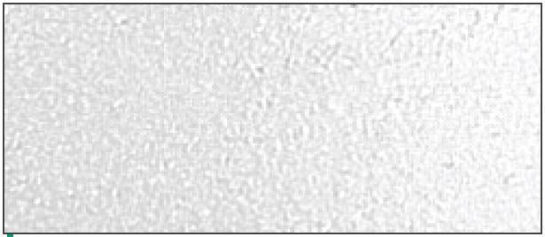 VITROBLANC GRES BLANC BASSE TEMPERATURE (1100°C)